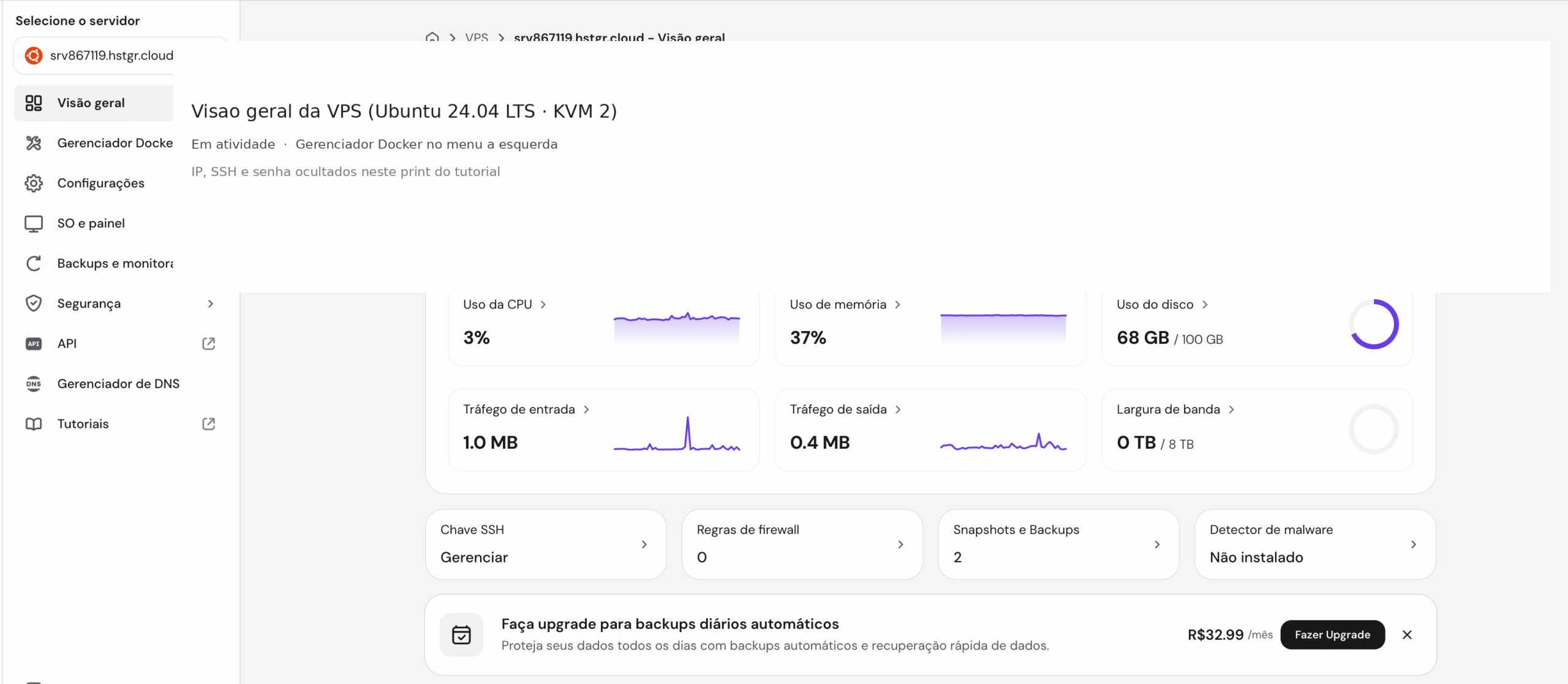 Visão geral da VPS Hostinger (dados de acesso ocultados)